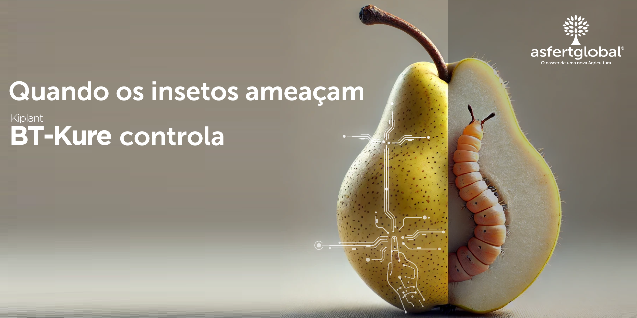 A Asfertglobal apresenta Kiplant BT-KURE: o novo bioinsecticida para o controlo eficaz de insetos lepidópteros